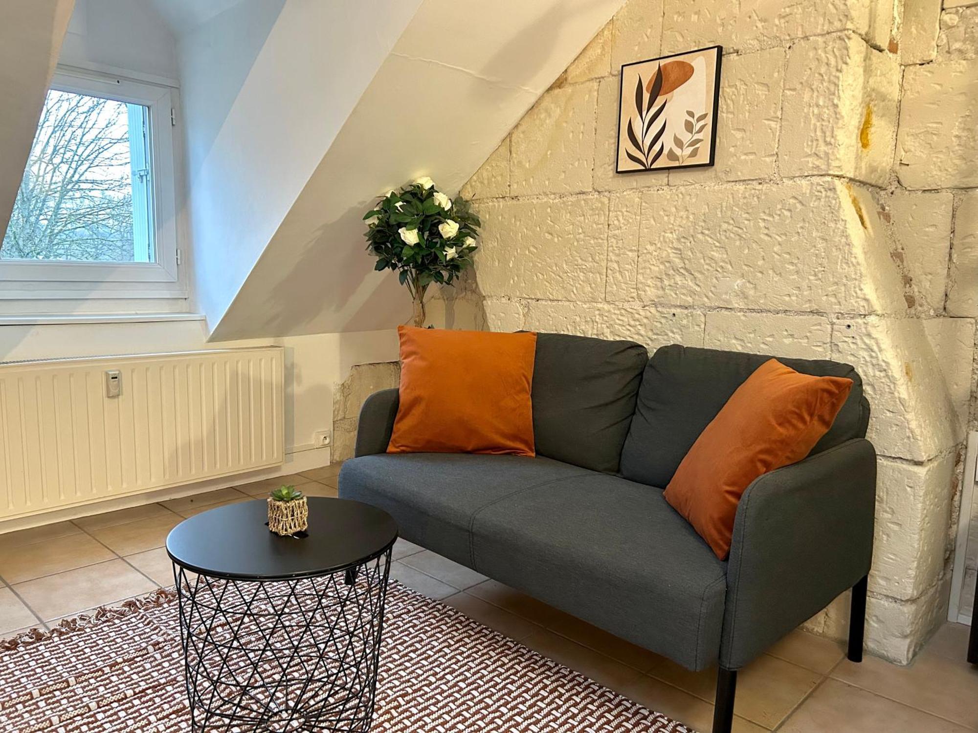 Apartment Terracotta - Quai De La Loire - Cozy Tours
