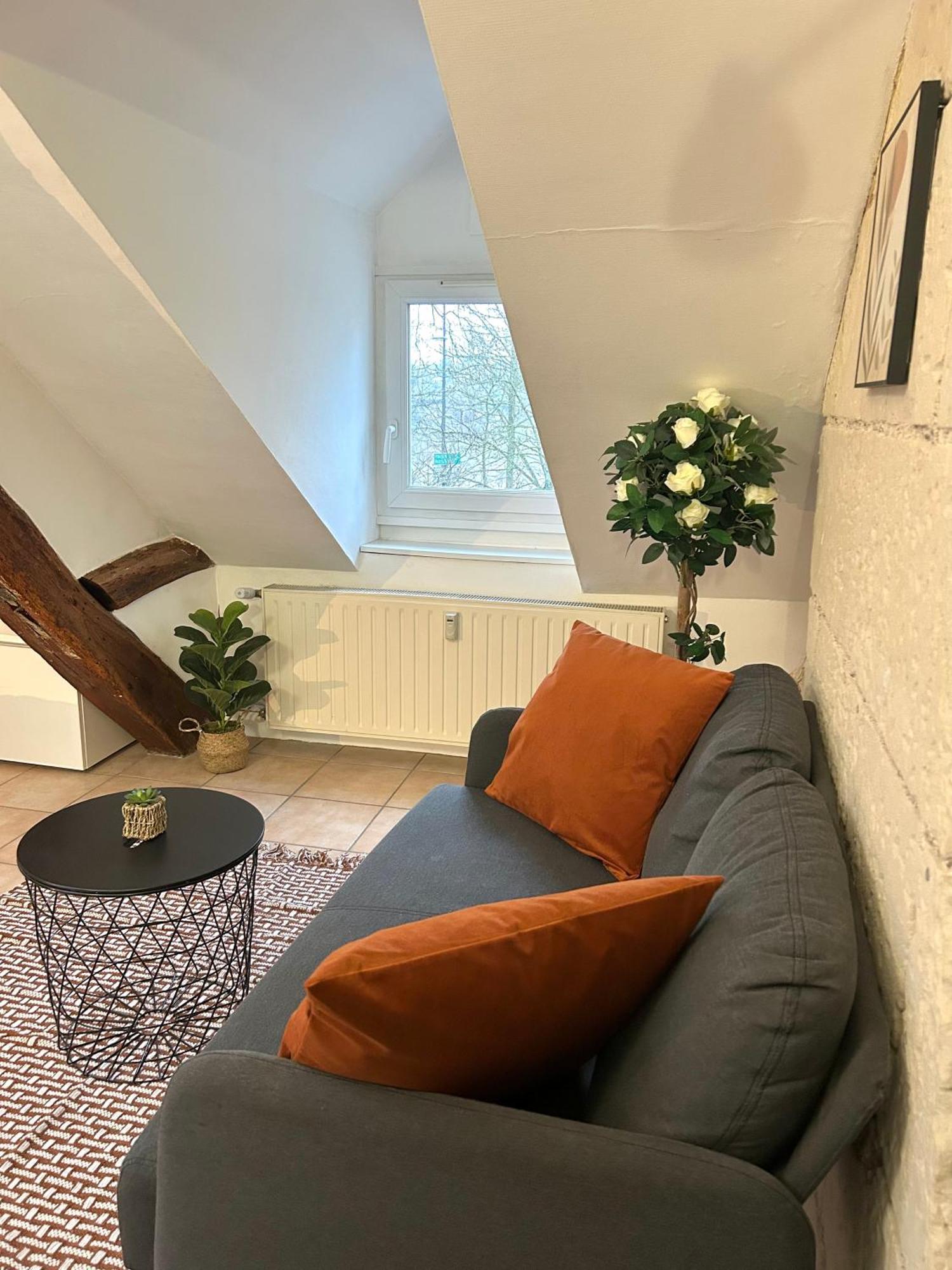 Terracotta - Quai De La Loire - Cozy Apartment